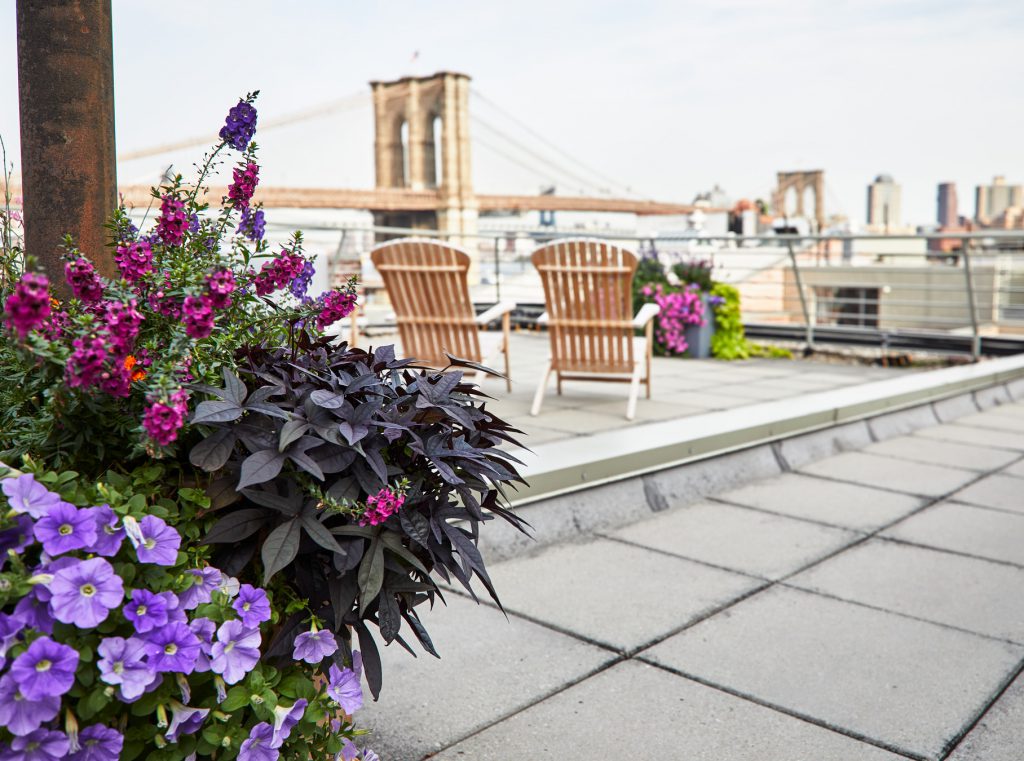 Roof top patio